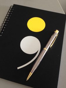 Carnet de bord Alterela 