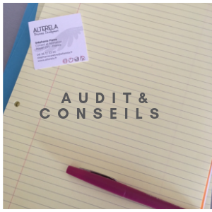 audit conseils
